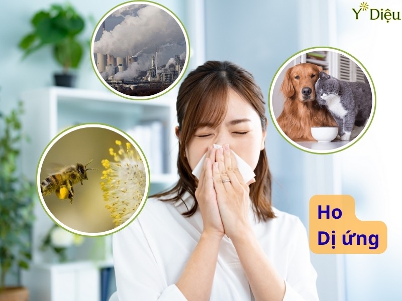 Ho Do Dị Ứng: Nguyên Nhân Và Cách Điều Trị Hiệu Quả Tại Nhà